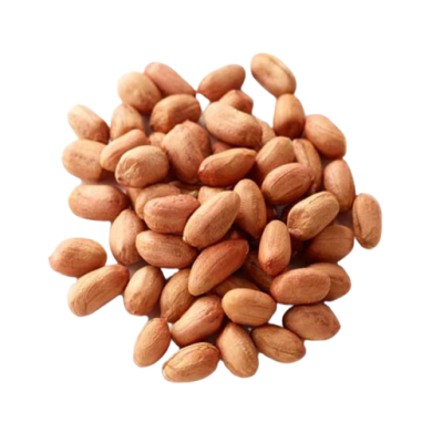 raw groundnut